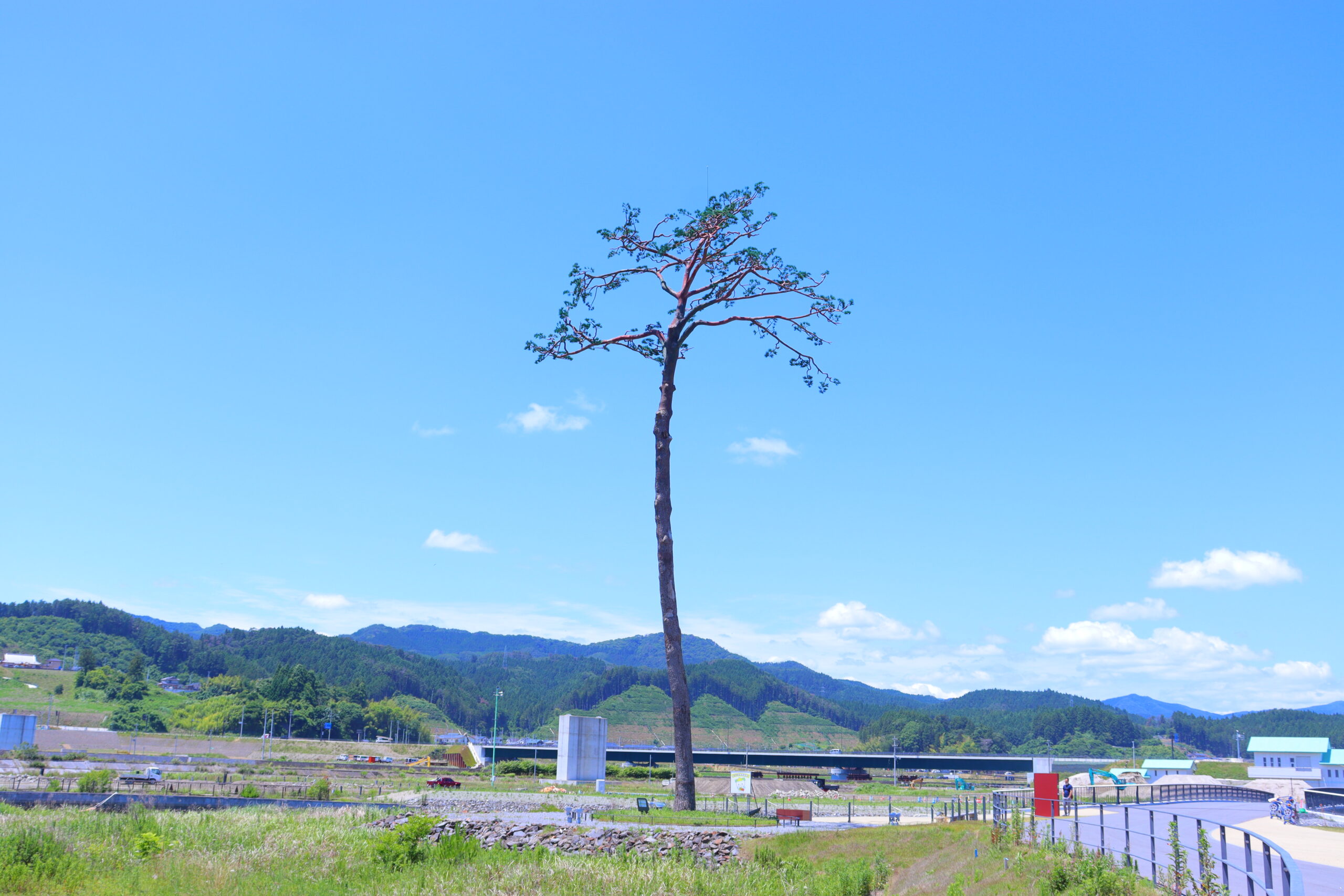 震災・復興】震災遺構 奇跡の一本松 - 【公式】陸前高田市観光サイト｜高田旅ナビ