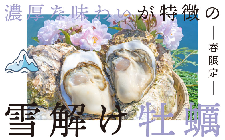 「春限定」濃厚な味わいが特徴の雪解け牡蠣