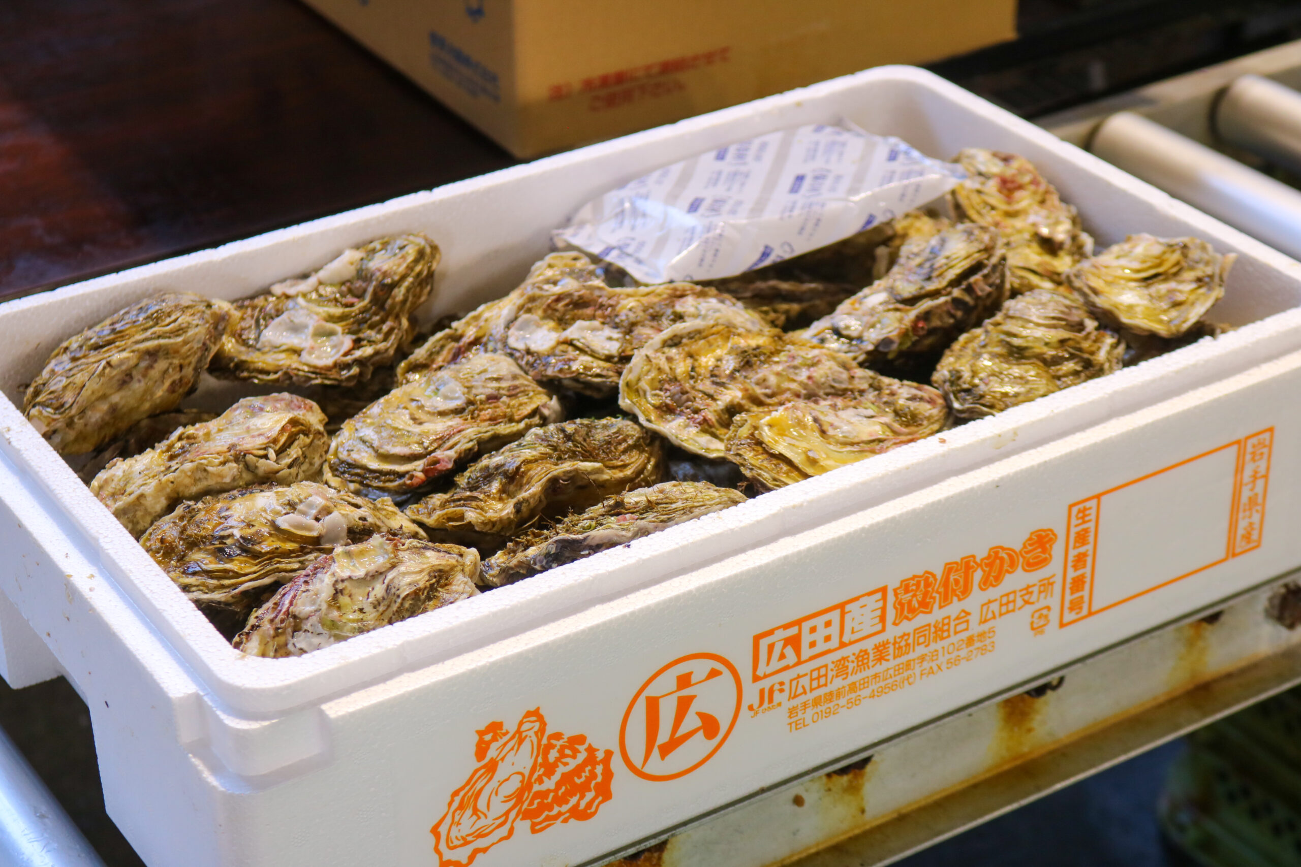サイズごとに梱包された広田湾産牡蠣の出荷用パッケージ