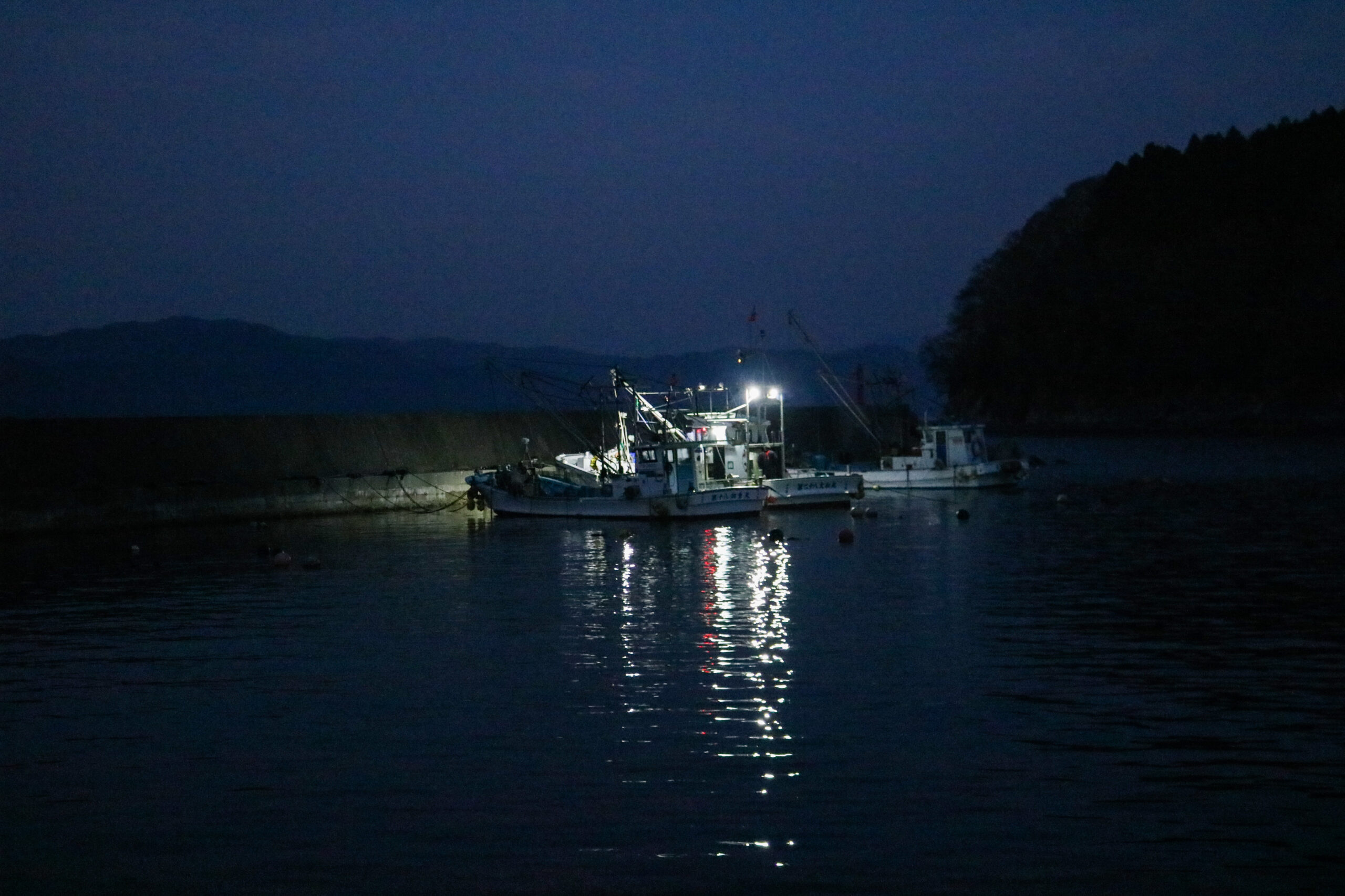 広田湾産牡蠣の水揚げ｜早朝の港から牡蠣の養殖施設へ向かう様子
