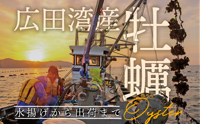 広田湾産牡蠣 水揚げから出荷まで