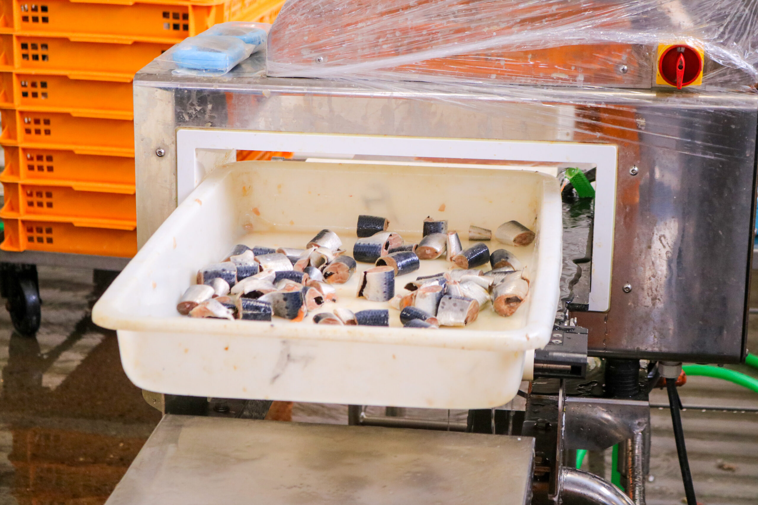 金属検査機で確認する工程の写真